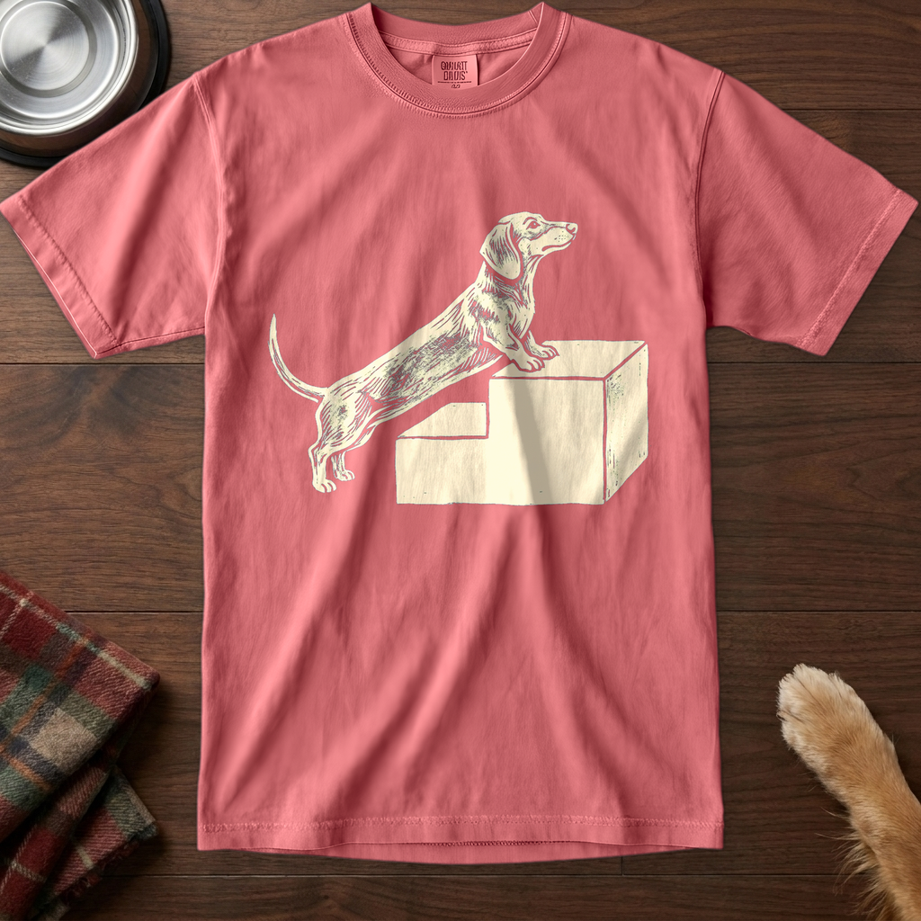 pick12v2:dachshund-stair-struggle:Watermelon