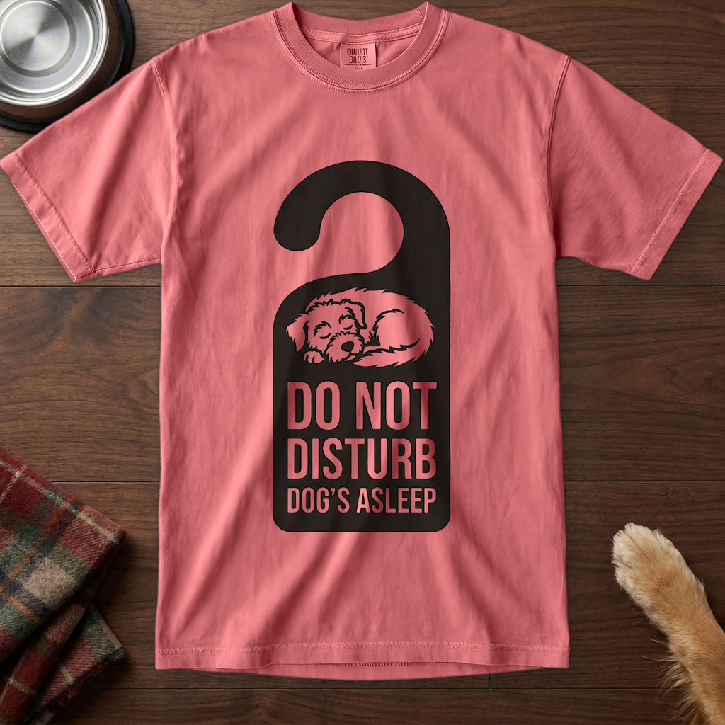 pick12v2:do-not-disturb:Watermelon