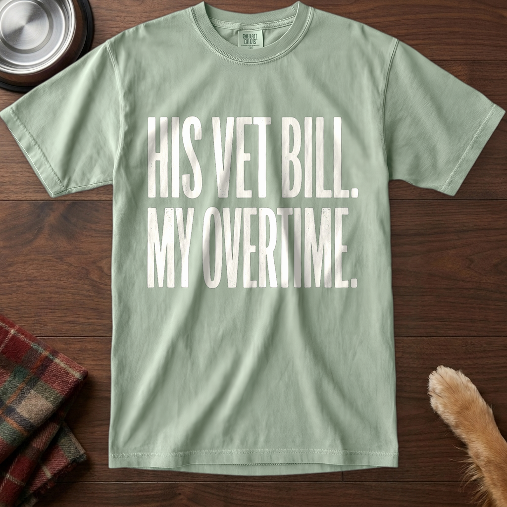pick12v2:his-vet-bill-my-overtime:Bay