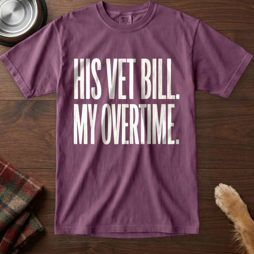 pick12v2:his-vet-bill-my-overtime:Berry