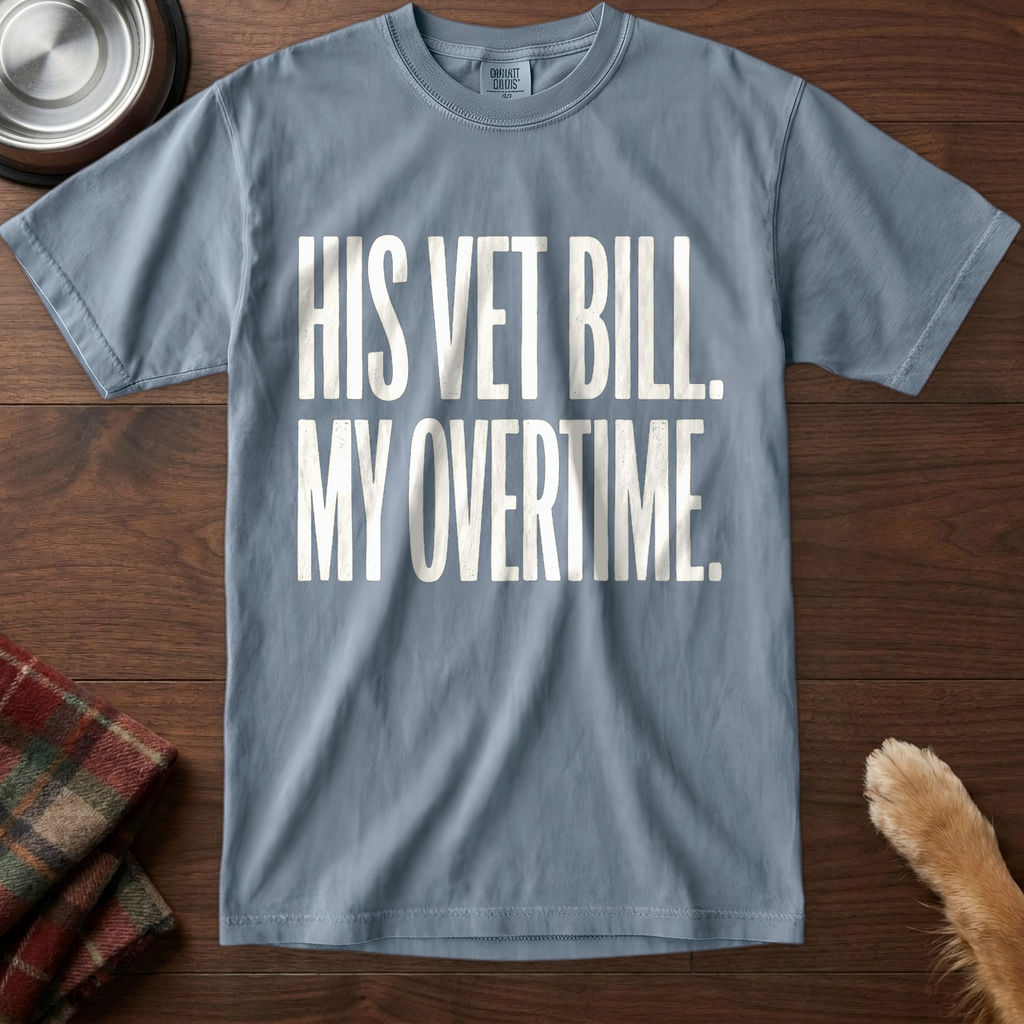 pick12v2:his-vet-bill-my-overtime:Blue Jean