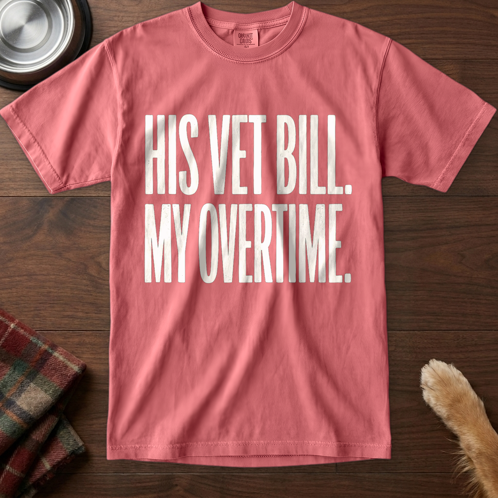 pick12v2:his-vet-bill-my-overtime:Watermelon