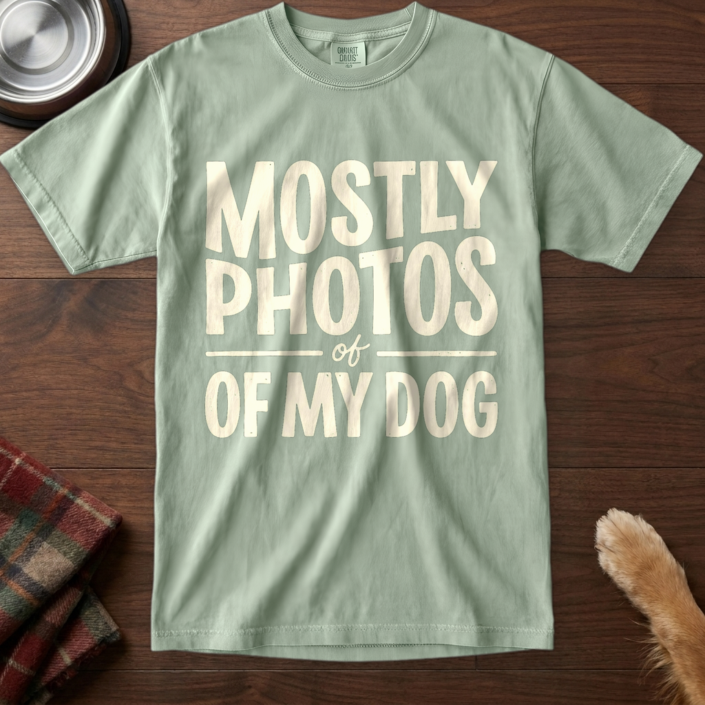 pick12v2:mostly-photos-of-my-dog:Bay