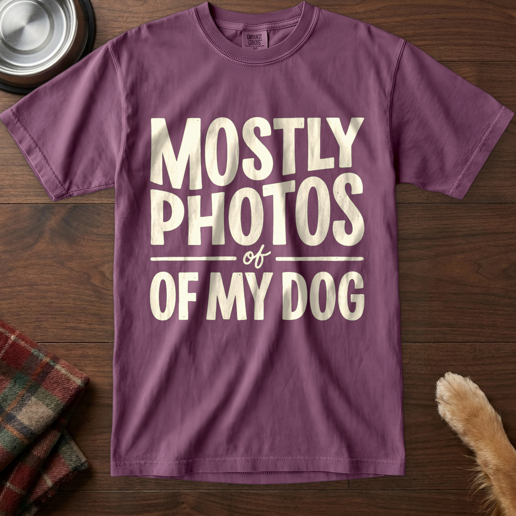 pick12v2:mostly-photos-of-my-dog:Berry