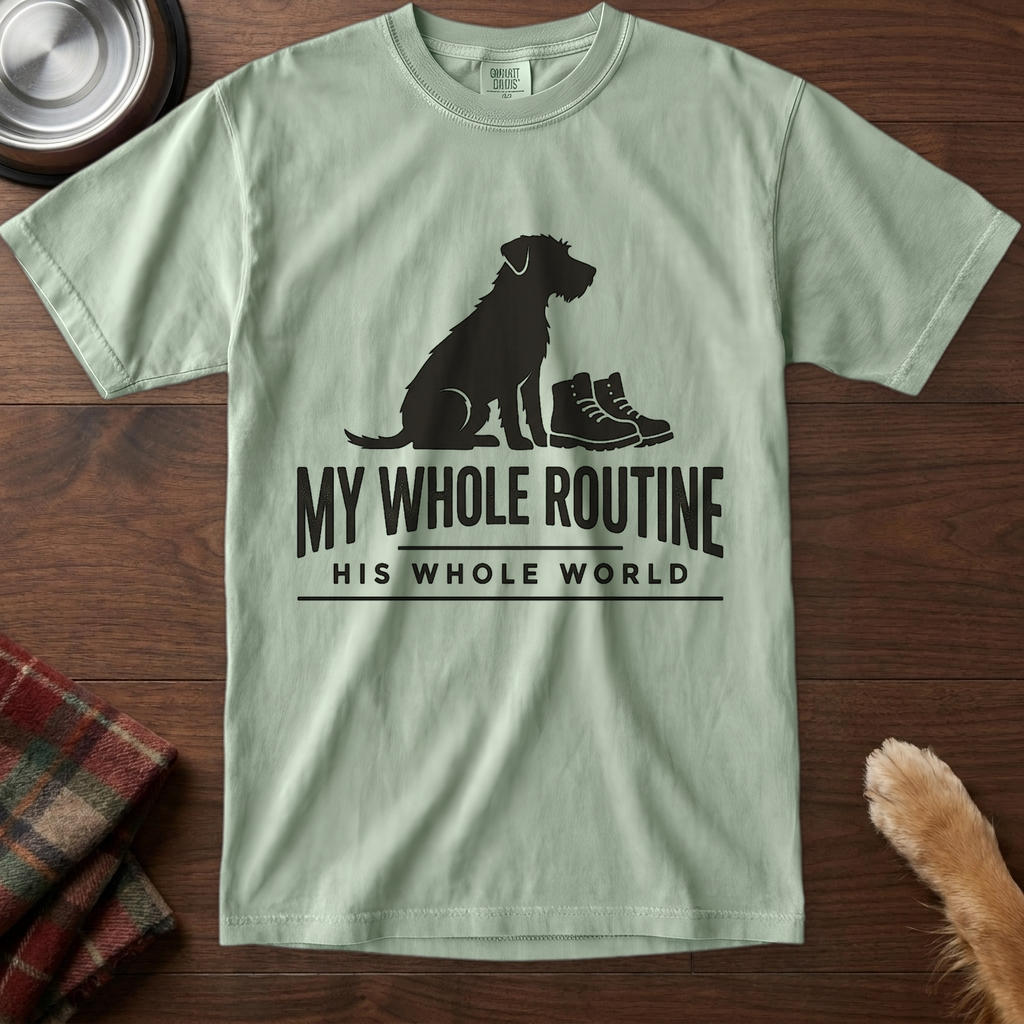 pick12v2:my-routine-his-world:Bay