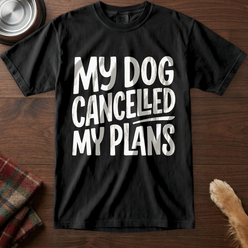 pick12v2:plans-cancelled-themselves:Black