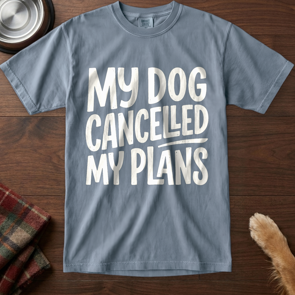 pick12v2:plans-cancelled-themselves:Blue Jean