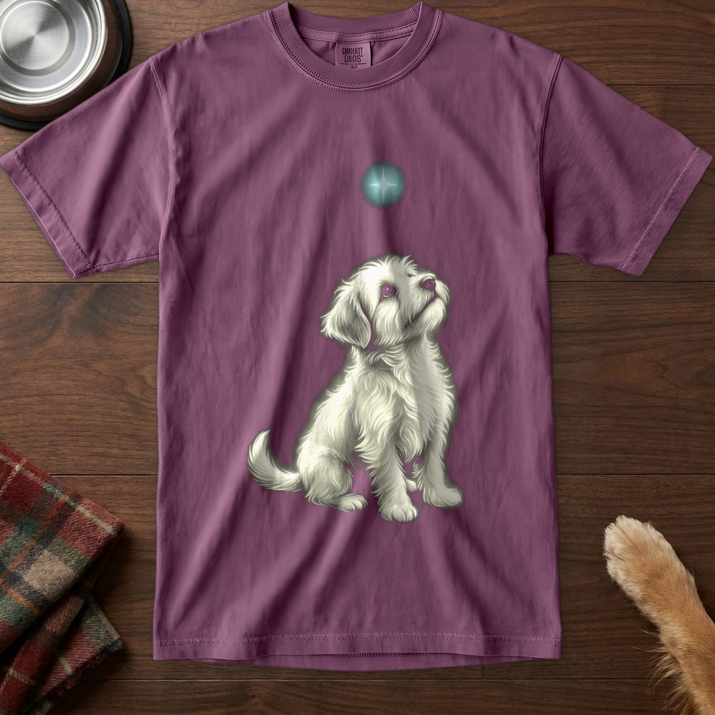 pick12v2:small-dog-big-wonder:Berry