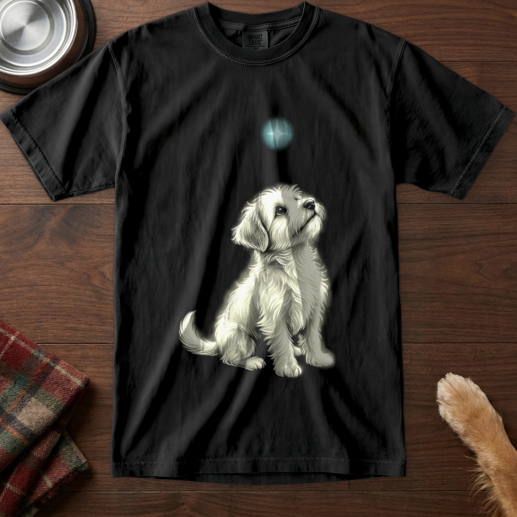 pick12v2:small-dog-big-wonder:Black