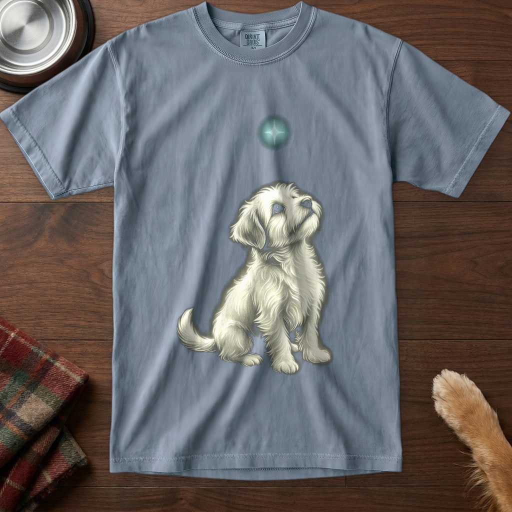 pick12v2:small-dog-big-wonder:Blue Jean