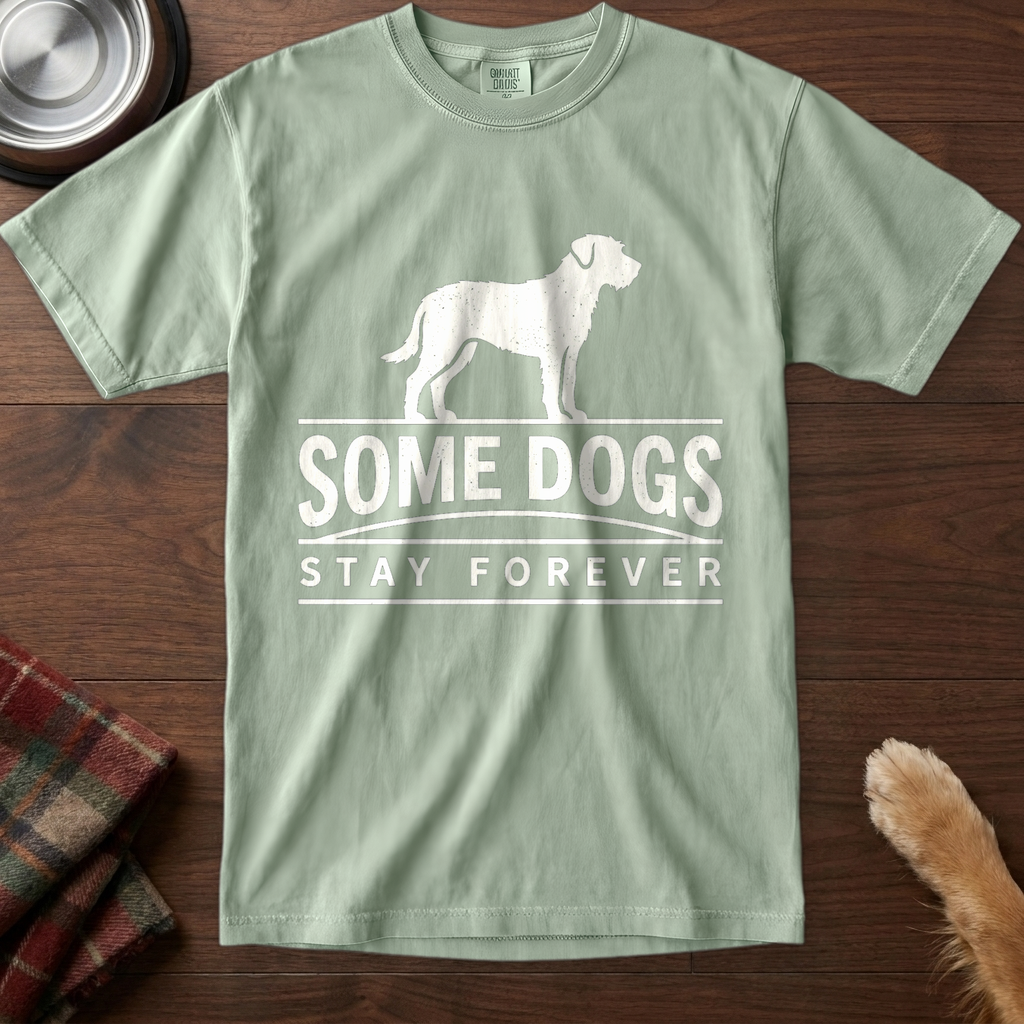 pick12v2:some-dogs-stay-forever:Bay